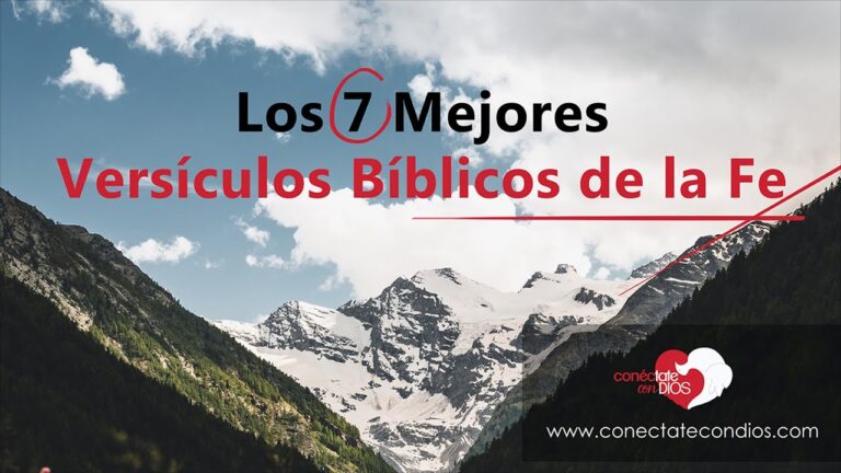 Descubre las mejores frases de la Biblia católica y fortalece tu fe ...