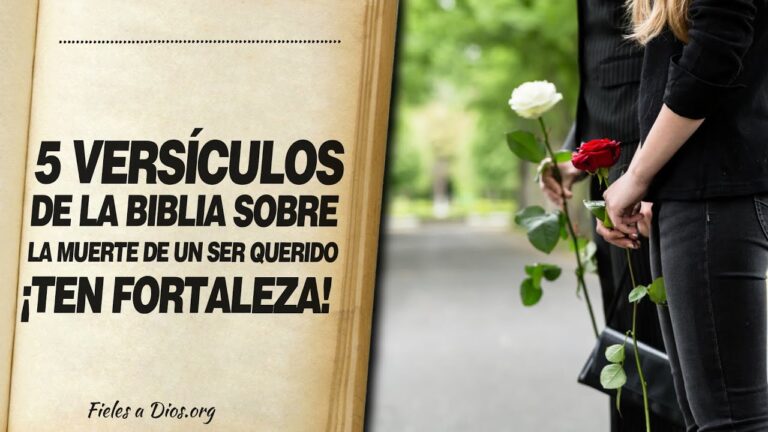 Encuentra consuelo en la Biblia cuando pierdes a un ser querido ...